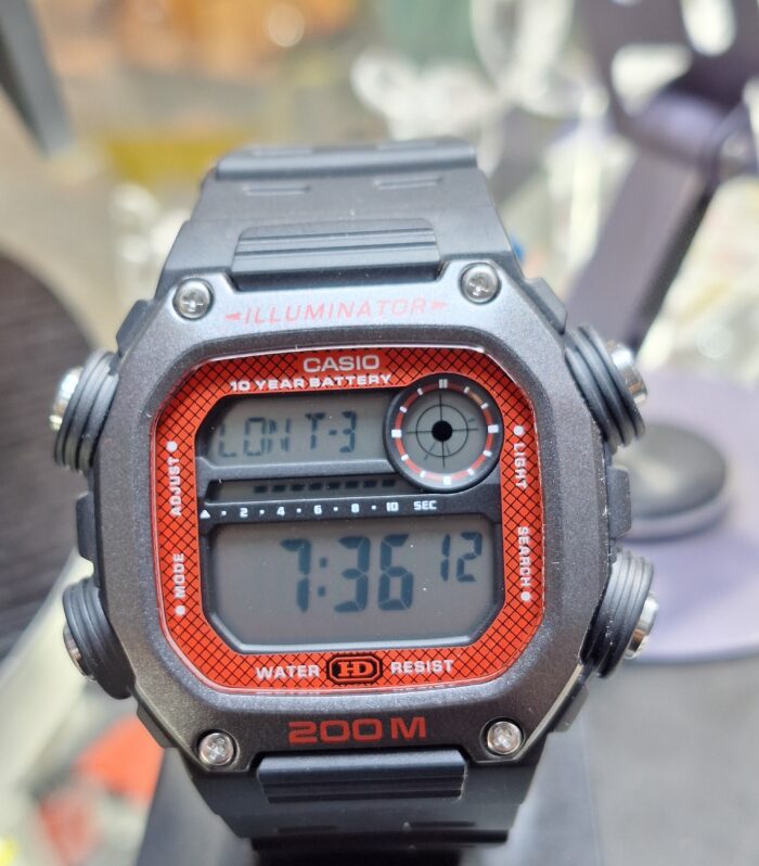 Reloj Casio DW-291H-1BV || 176