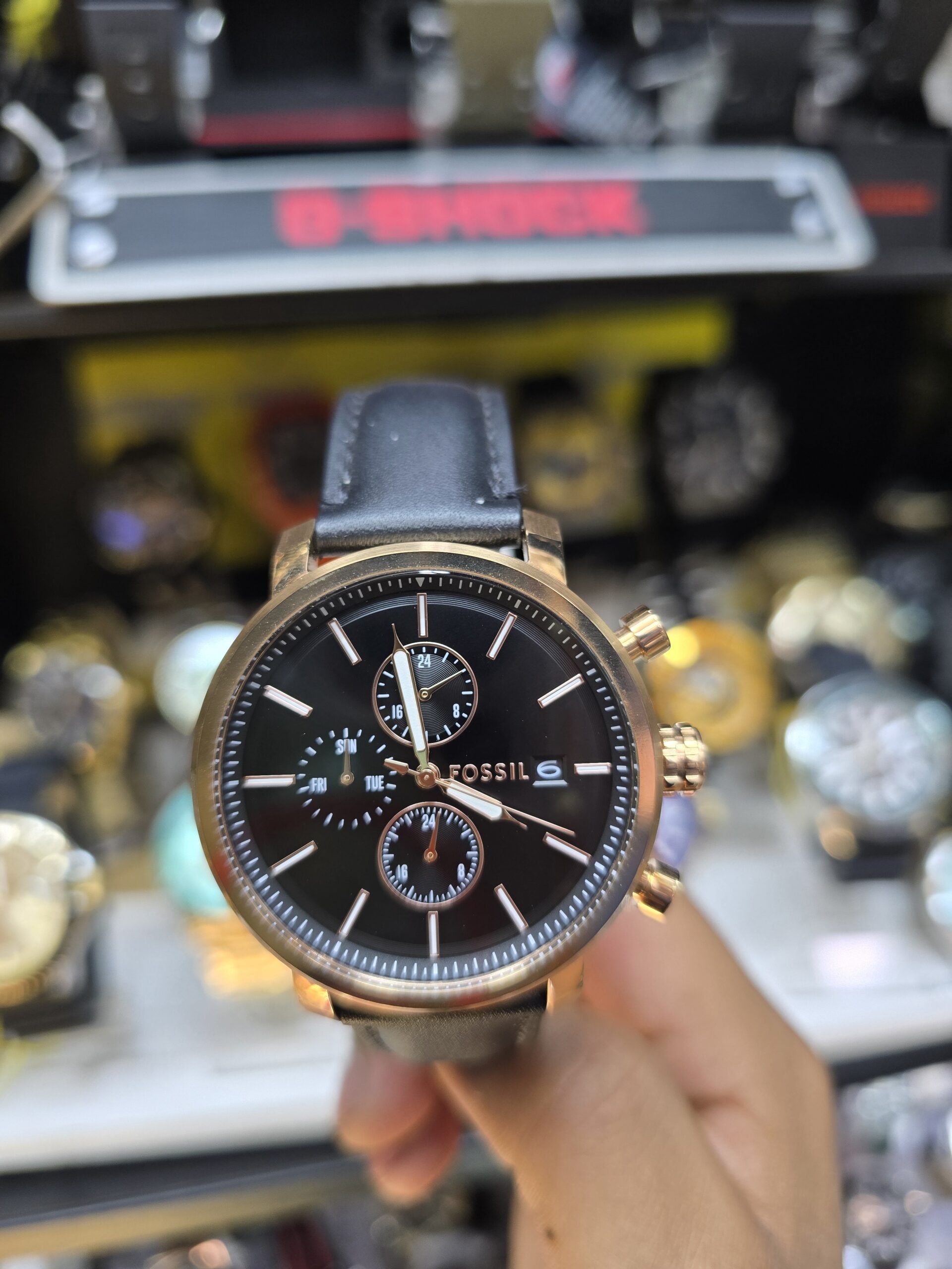 FOSSIL-102